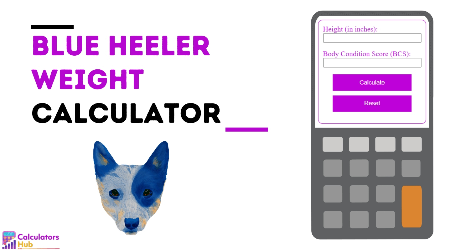 Blue Heeler Weight Calculator