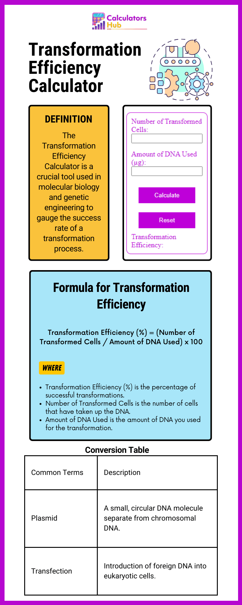 Transformation Efficiency Calculator