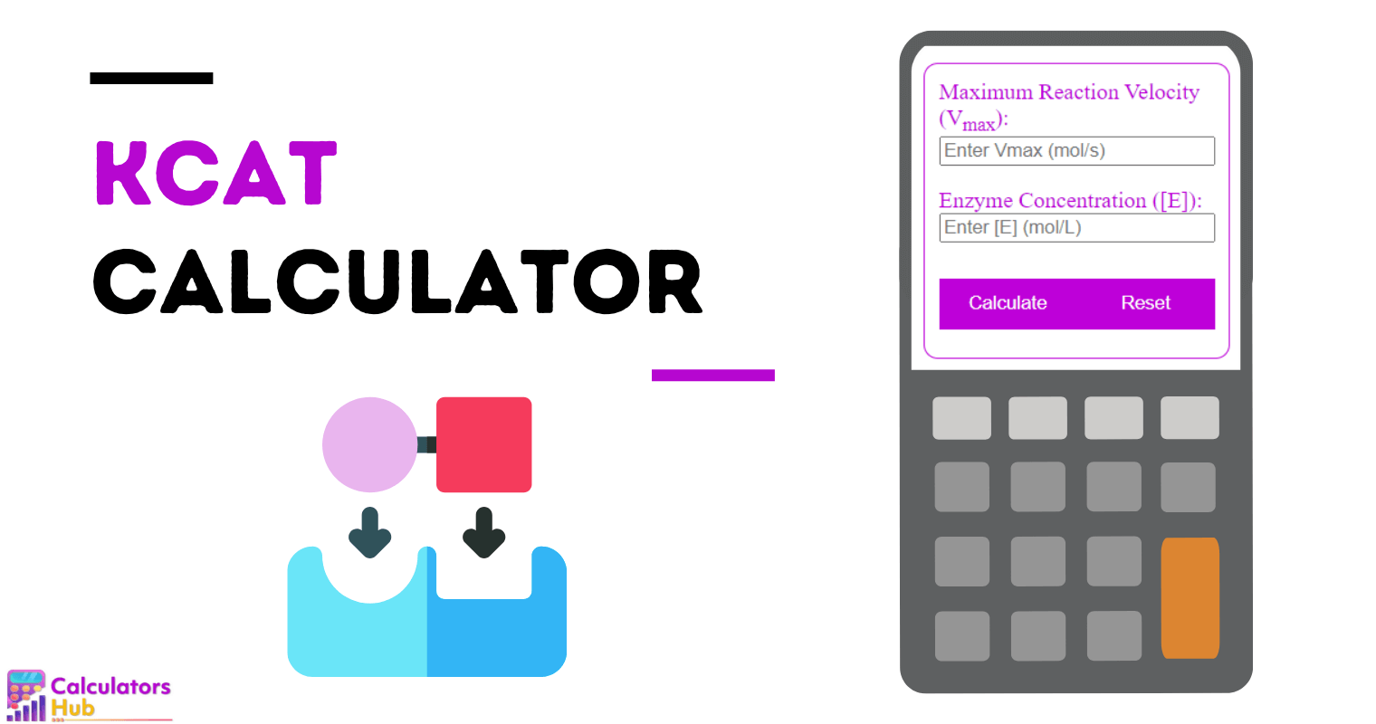 Kcat Calculator