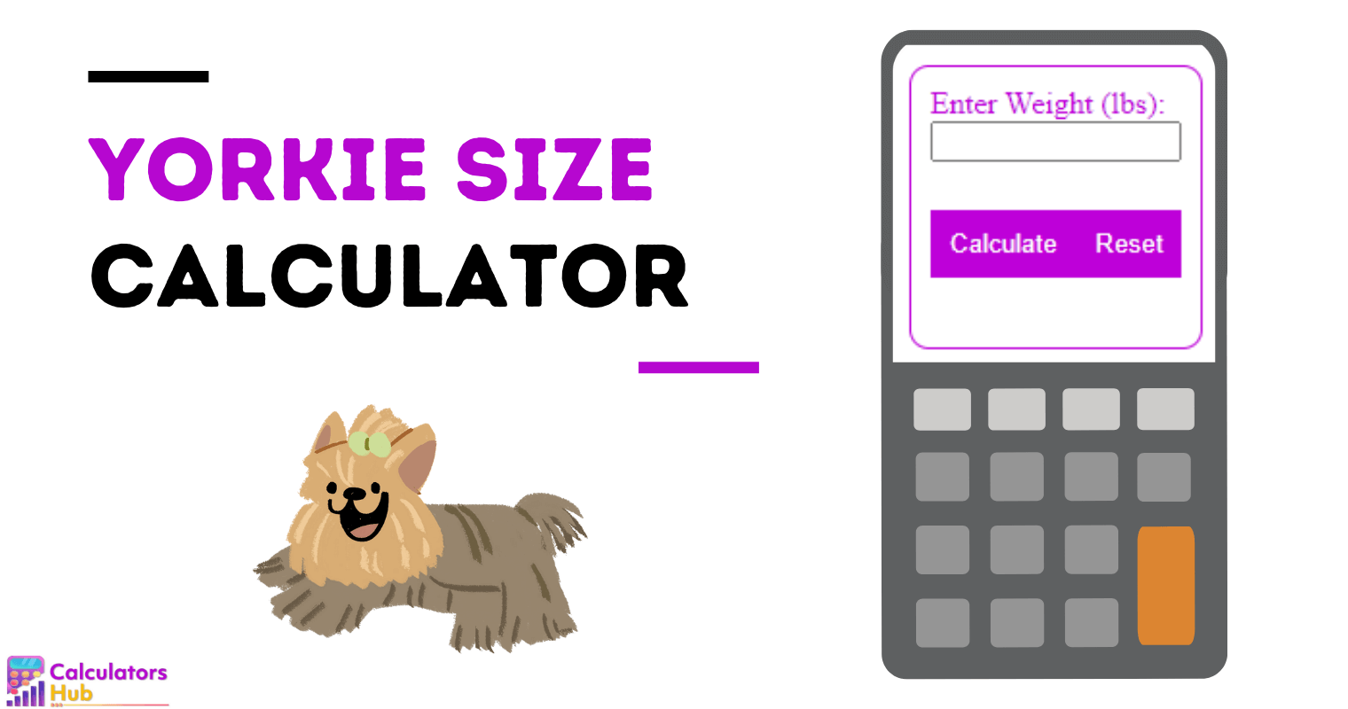 Yorkie Size Calculator