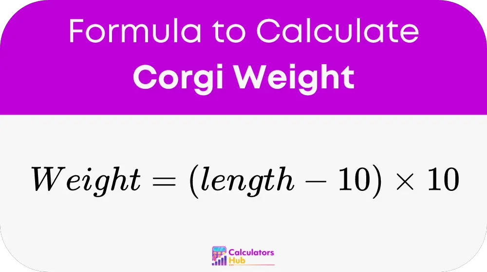 Corgi Weight