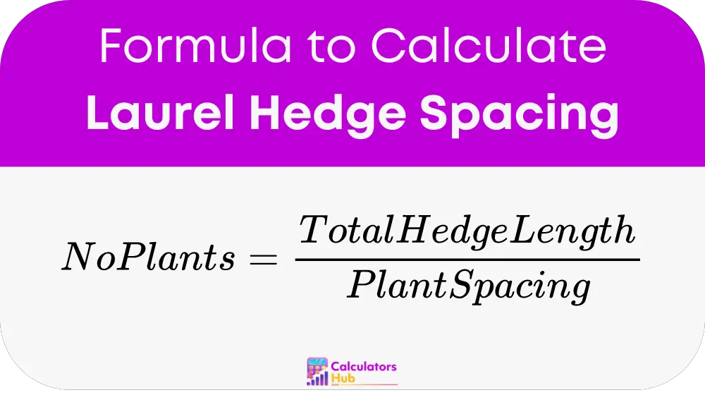 Laurel Hedge Spacing