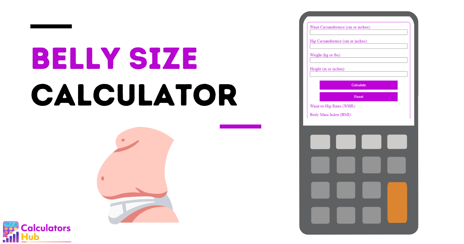 Belly Size Calculator